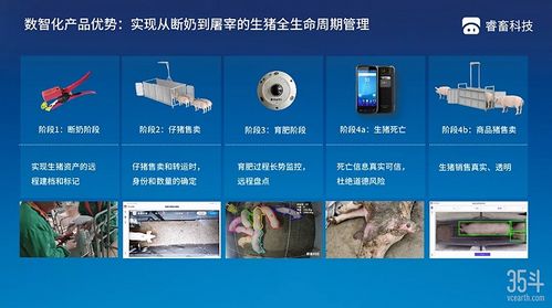本轮猪周期拐点已现,3万亿生猪市场数字化价值几何