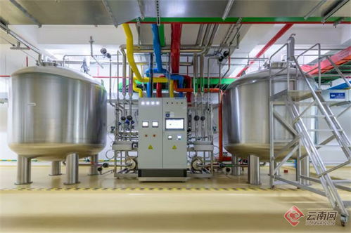探访 智慧工厂 感受云南本土企业的 科技范儿