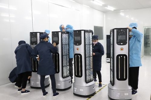 顺利交付 首批lg智能机器人在深兰科技工厂装箱发往美国