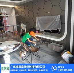 广东绿居家 除甲醛公司 台州除甲醛
