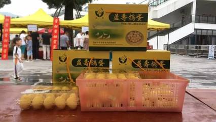 台州青年农创市集圆满收官，青春创意与乡土风味碰撞出别样火花